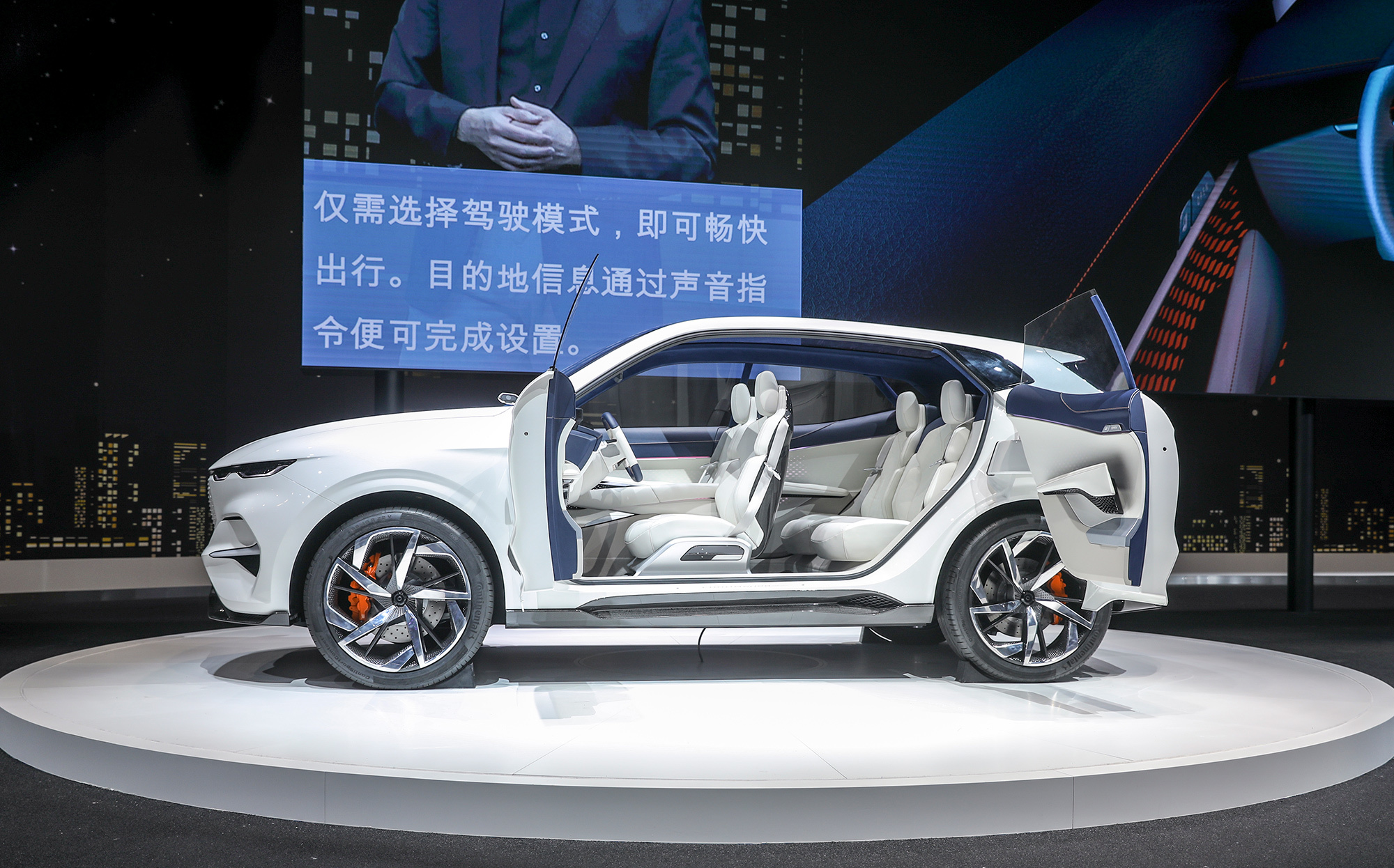 Haval vision 2025