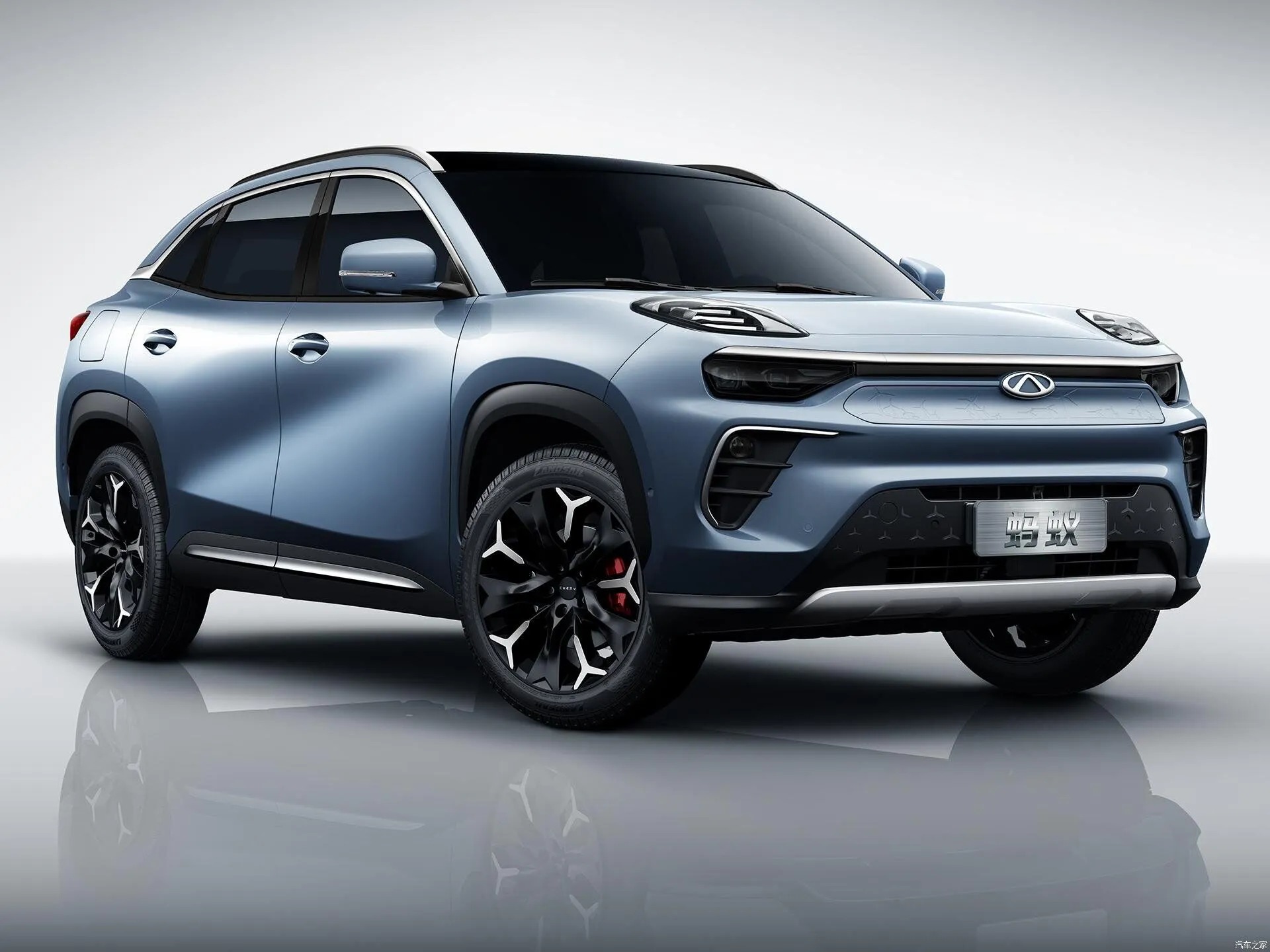 Chery big ant